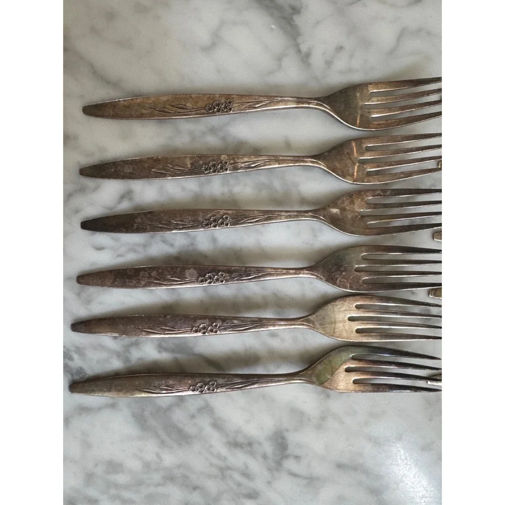 Oneida Community Enchantment Gentle Rose Silverplate Flatware 17pc Set 1960